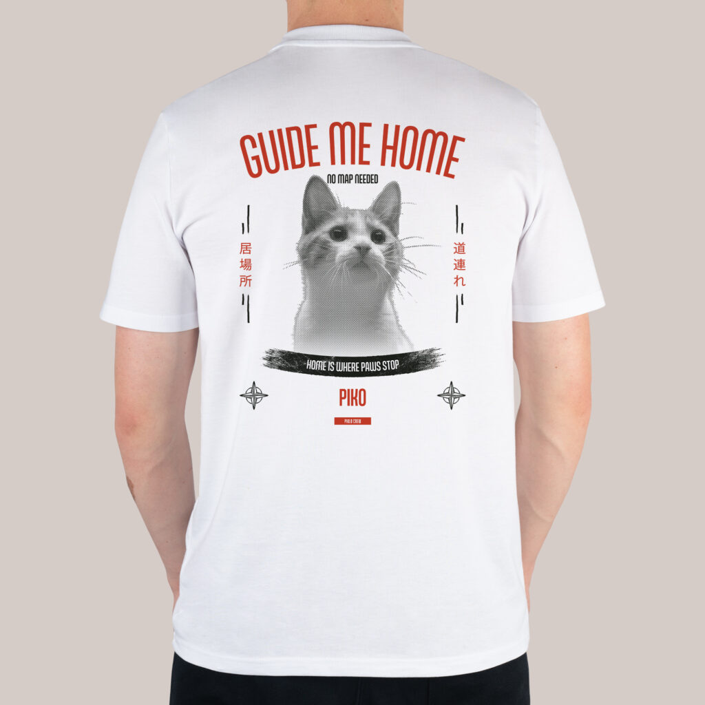 Home Compass, zdjęcie 2