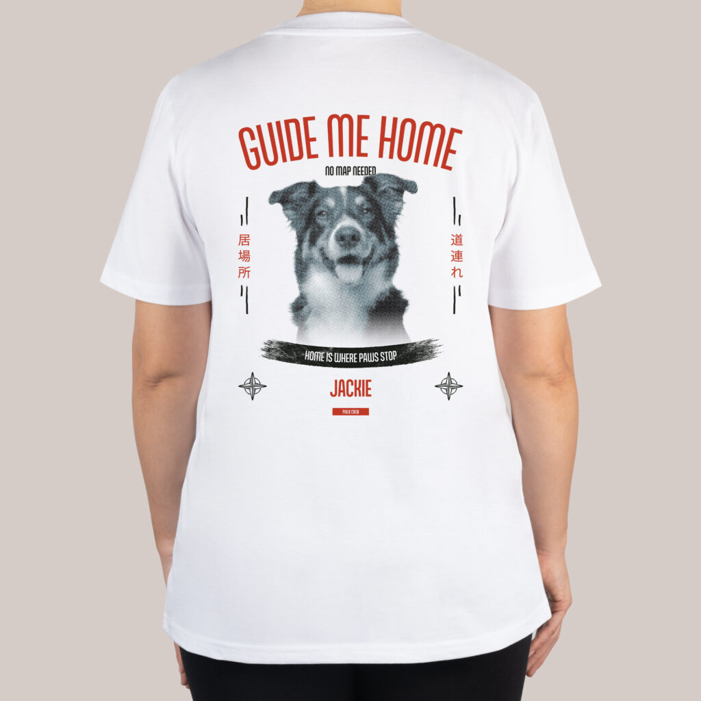 Home Compass, zdjęcie 3