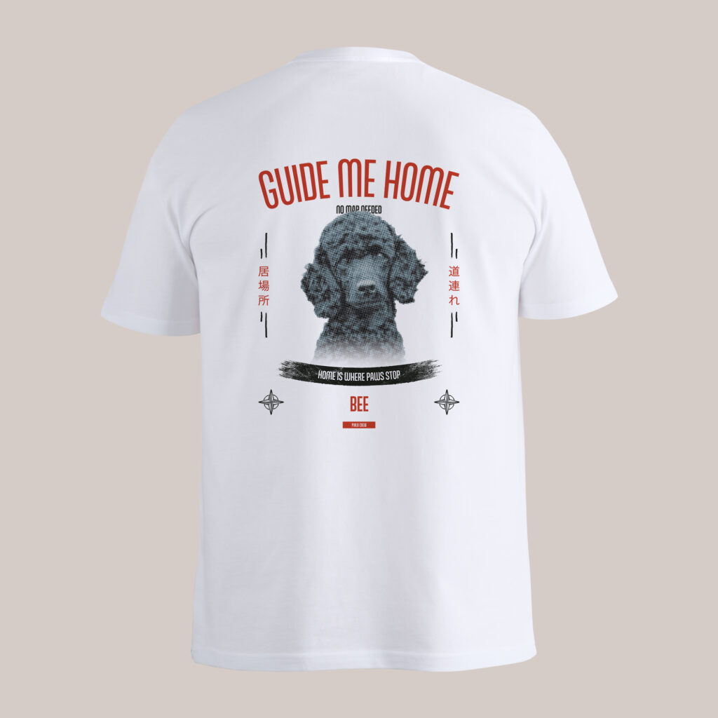 Home Compass, zdjęcie 6