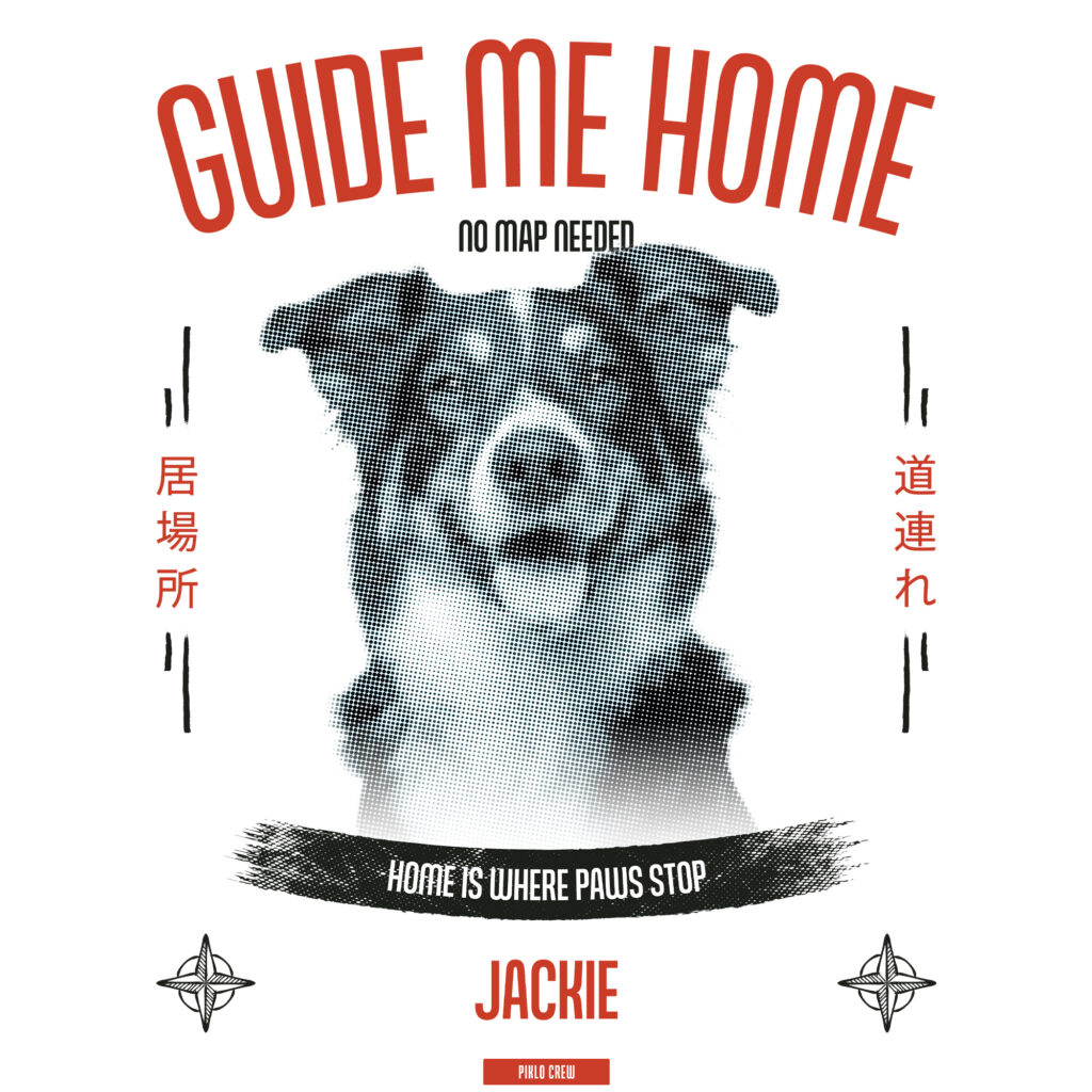 Home Compass, zdjęcie 1